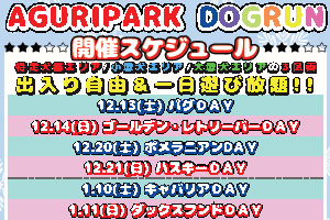 ドッグランイベント