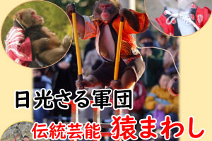 日光さる軍団 伝統芸能 猿まわし