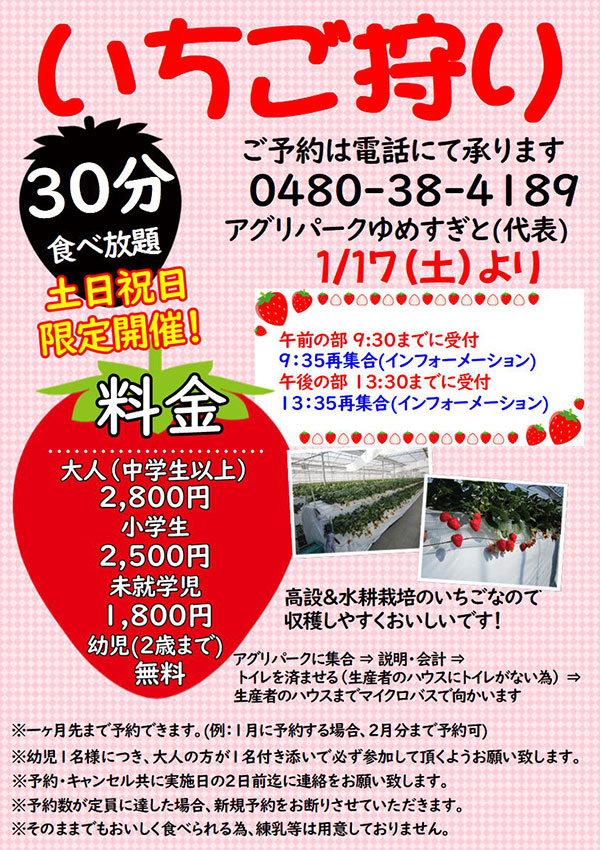 土日祝限定！！いちご狩り食べ放題！！