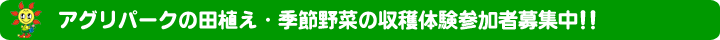 アグリパークの田植え・季節野菜の収穫体験参加者募集中！