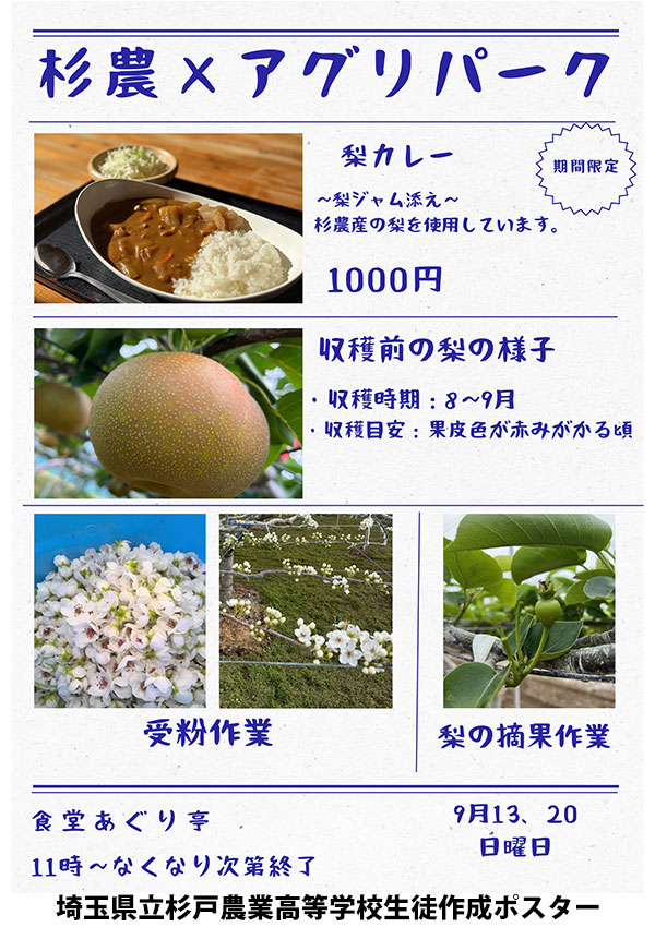 杉農梨カレー