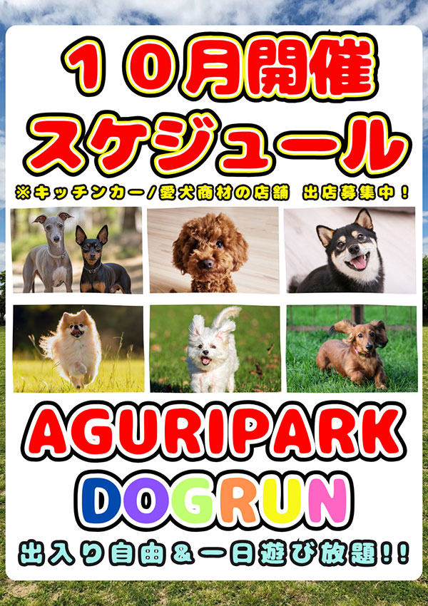 ドックランスケジュール
