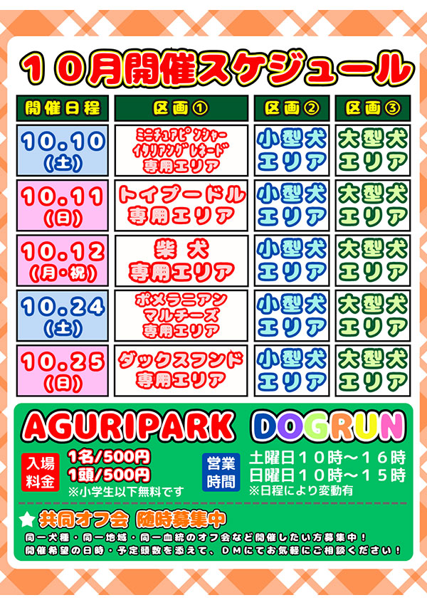 ドックランスケジュール